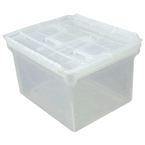 CAJA PARA ARCHIVO IRIS WING-LID T/CARTA-OFICIO