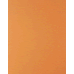 CARTULINA EXTENDIDA ROYAL CAST (1 PLIEGO, NARANJA)