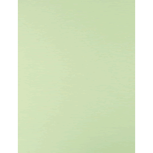 CARTULINA EXTENDIDA ROYAL CAST (1 PLIEGO, VERDE)