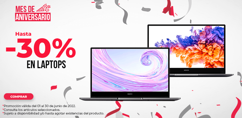30% Laptops