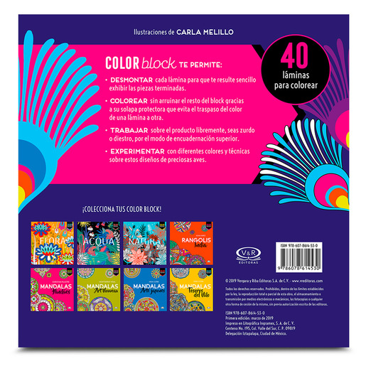 Color Block Aves VR Editoras 40 láminas