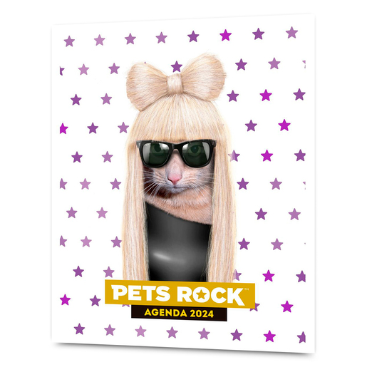 Agenda Missy Pets Rock 2024 VR Editoras 144 páginas