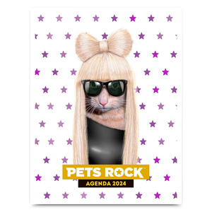 Agenda Missy Pets Rock 2024 VR Editoras 144 páginas