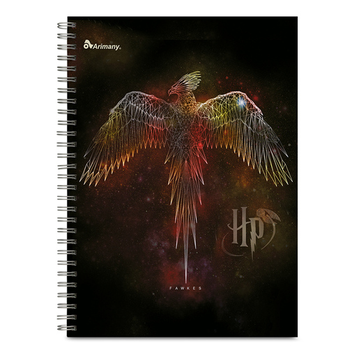 Cuaderno Profesional Arimany Harry Potter Cuadro Grande 100 hojas