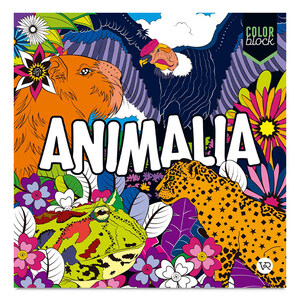 LIBRO COLOR BLOCK ANIMALIA LIBRO COLOR BLOCK ANIMALIA