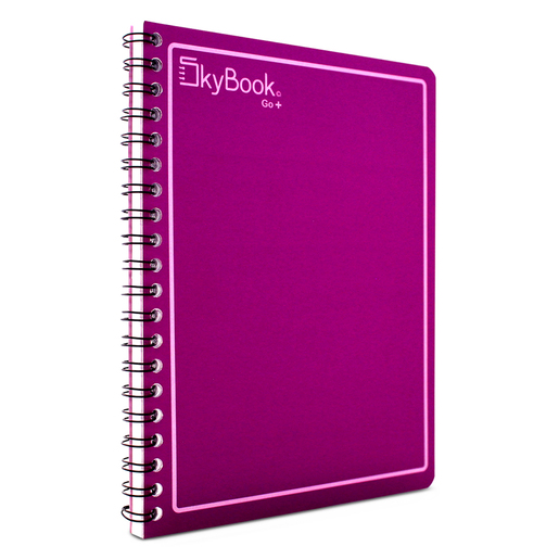 Cuaderno Profesional Sky Book Go Raya 100 hojas