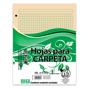Hojas para Carpeta Ecológicas Carta Cuadro Grande 100 hojas