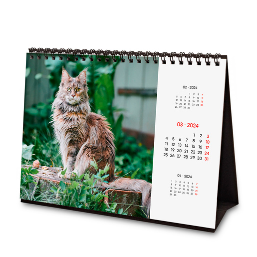 Calendario de Mesa 2024 Finocam Cats Internacional 21 x 15 cm