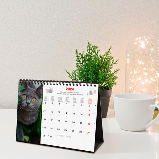 Calendario de Mesa 2024 Finocam Cats Internacional 21 x 15 cm