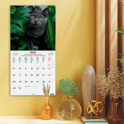 Calendario de Pared 2024 Finocam Cats Internacional 30 x 30 cm