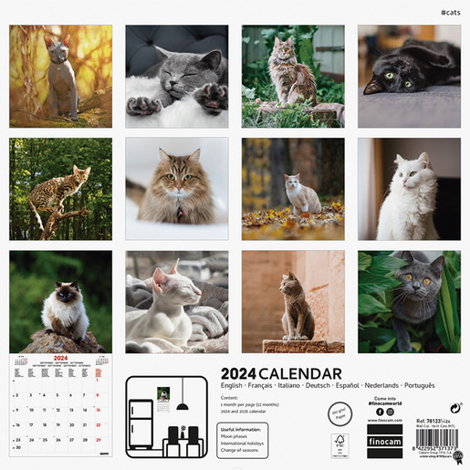 Calendario de Pared 2024 Finocam Cats Internacional 18 x 18 cm