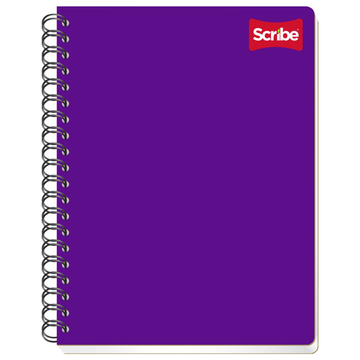 Cuaderno Profesional Scribe Cuadro Chico 100 hojas