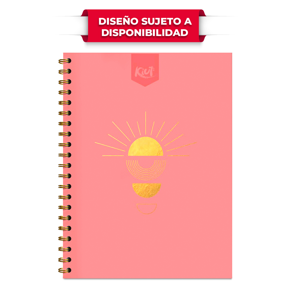 Cuaderno Profesional Norma Kiut Dura Book Cuadro Chico 160 hojas