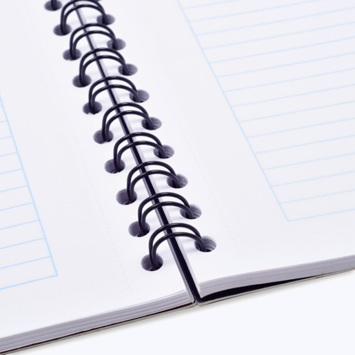 Cuaderno Profesional Norma Ferrari Raya 100 hojas