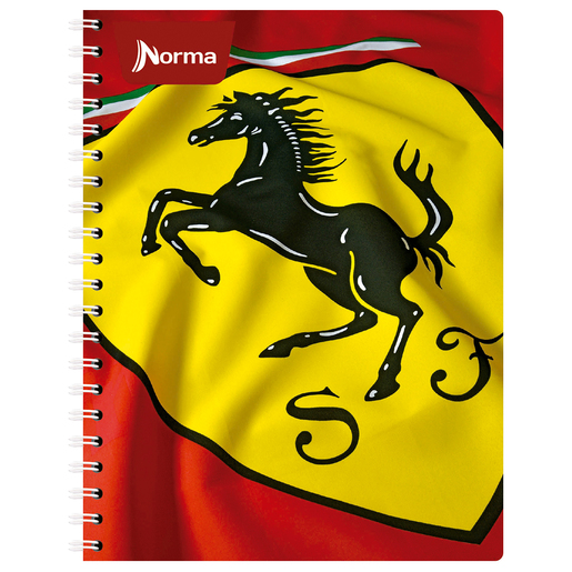 Cuaderno Profesional Norma Ferrari Cuadro Chico 100 hojas