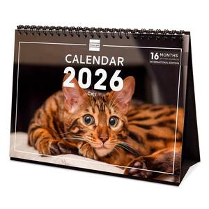 Calendario de Mesa 2026 Finocam Cats Calendario de Mesa 2026 Finocam Cats