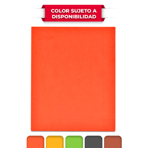 Cuaderno Ejecutivo Norma Daily Notes Raya 100 hojas   Cuaderno Ejecutivo Norma Daily Notes Raya 100 hojas