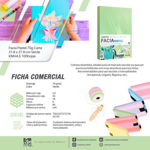Hojas de Color Facia Pastel / Paquete 100 hojas / Carta / Verde pastel / 75 gr
