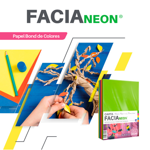 Hojas de Color Facia Neon / Paquete 250 hojas / Carta / Surtido 5 colores neón / 75 gr