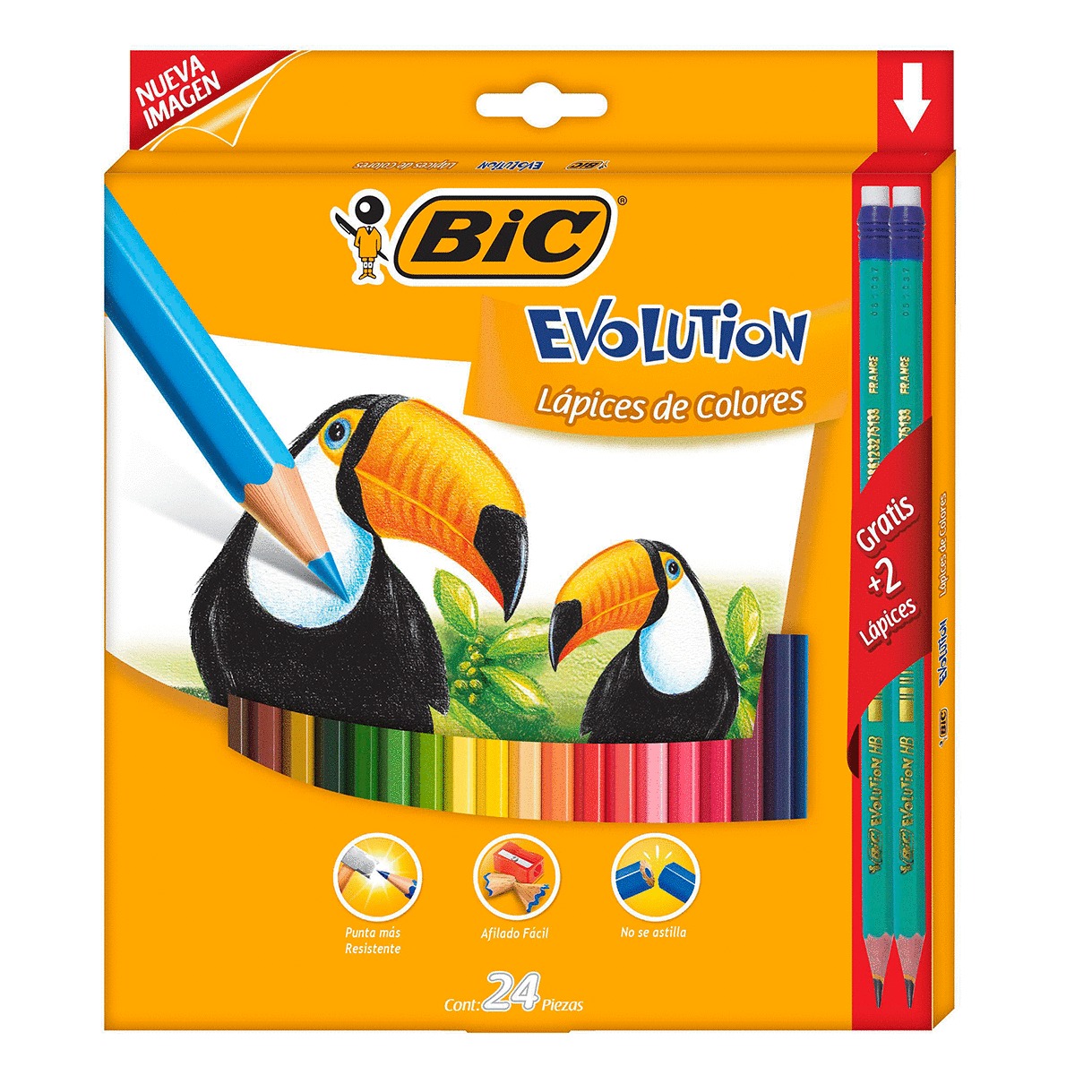Lápices de Colores Hexagonales Bic Evolution 24 piezas 2 lápices gratis