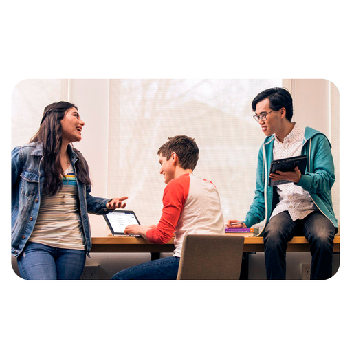 Bundle Instalación Profesional de Microsoft Office Hogar 2024 y McAfee LiveSafe