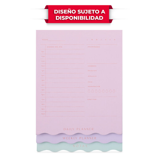 Planeador y Notas Red Top 120 hojas