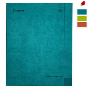 Cuaderno Forma Francesa Norma Daily Notes Raya 72 hojas