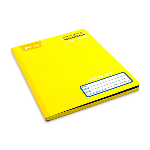 Cuaderno Profesional Norma Color 360 Cuadro Grande Cosido 100 hojas