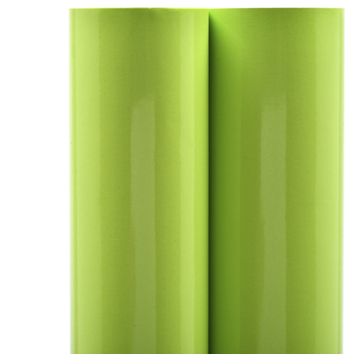 Papel Lustre Royal Cast / Verde claro / 1 pliego / 50 x 150 cm