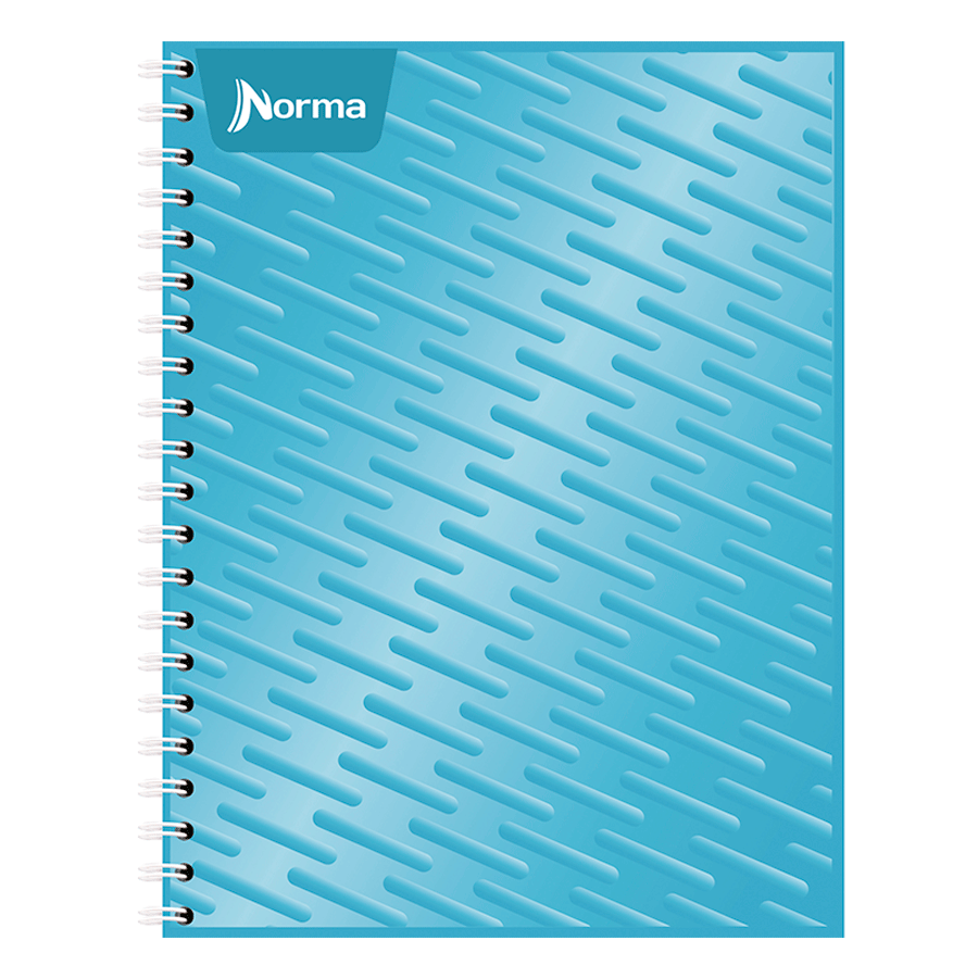 Cuaderno Profesional Norma Raya 100 hojas