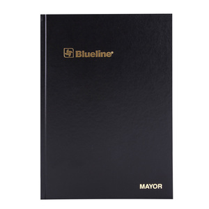 LIBRO MAYOR BLUELINE (100 HOJAS) LIBRO MAYOR BLUELINE (100 HOJAS)