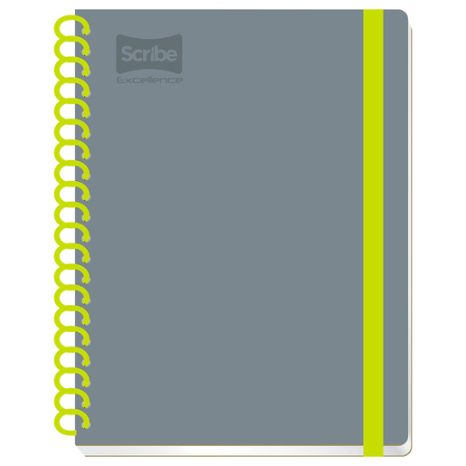 Cuaderno Profesional Scribe Excellence Design Cuadro chico 200 hojas | Office  Depot Mexico