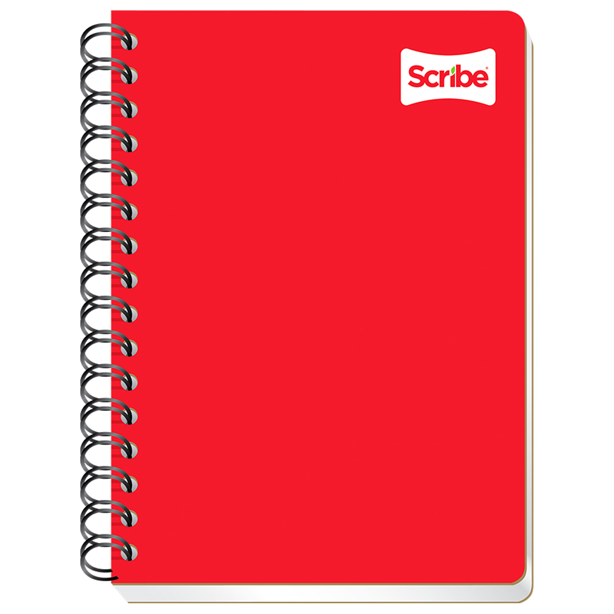 Cuaderno Forma Francesa Scribe Raya 100 hojas