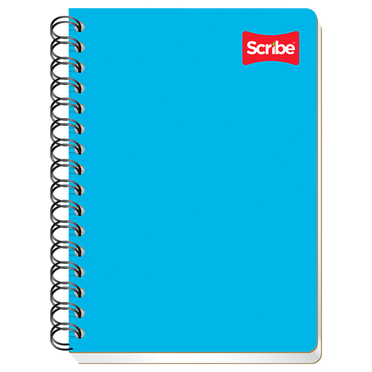 Cuaderno Forma Francesa Scribe Cuadro Grande 100 hojas