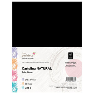 Cartulina Pochteca Natural 96926 / 30 hojas / Carta / Negro / 216 gr