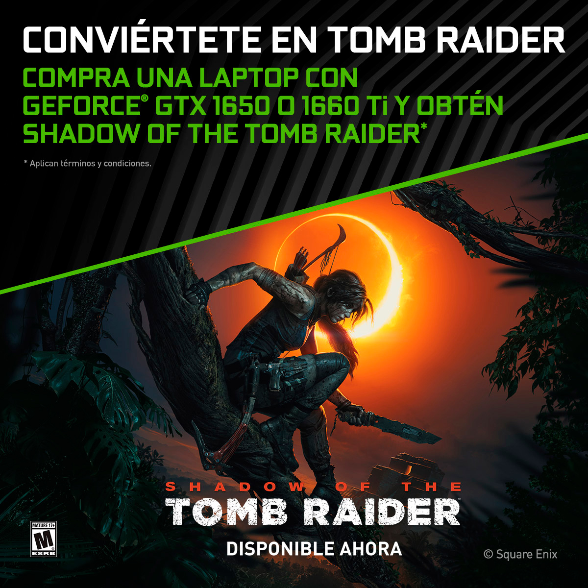 Tarjeta de Regalo Shadow of The Tomb Raider Juego completo PC